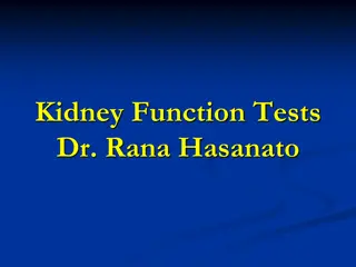 Kidney Function Tests and Their Importance in Diagnosis