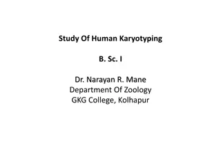 Human Karyotyping: Understanding Chromosome Composition and Classification
