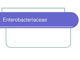 Enterobacteriaceae: Classification, Antigens, and Virulence Factors