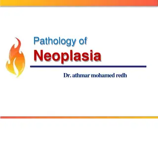 Neoplasia: Causes, Types, and Pathology Overview