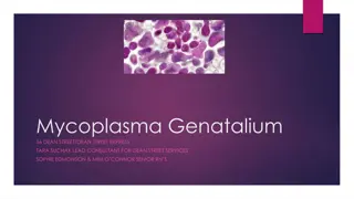 Mycoplasma Genatalium