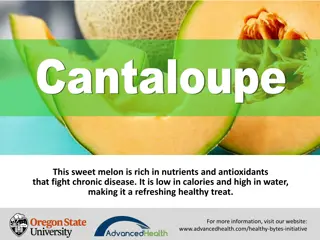 Health Benefits of Cantaloupe: Nutrient-Rich Sweet Melon