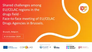 Challenges in Drugs Field - EU/CELAC Regions Face-to-Face Meeting