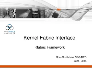 High-Performance Fabric Interfaces and APIs Overview