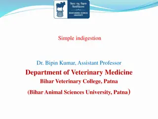 Simple Indigestion in Ruminants