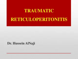 Traumatic Reticuloperitonitis - Causes, Symptoms, and Complications