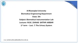The Urinary System in Biomedical Engineering