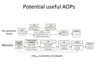 Exploring Non-Genotoxic Cancer Mechanisms: AOPs and AhR Activation