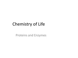 Protein Structure: Levels of Organization