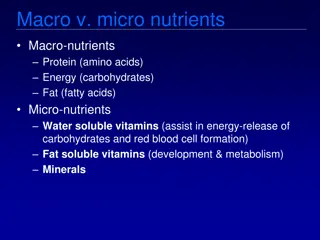 Macro and Micro Nutrients in Human Nutrition