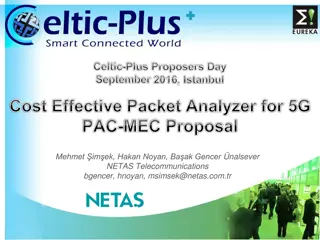 Cost-Effective Packet Analyzer for 5G Networks