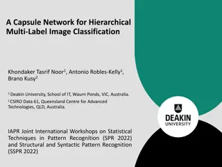 Capsule Network for Multi-Label Image Classification Study