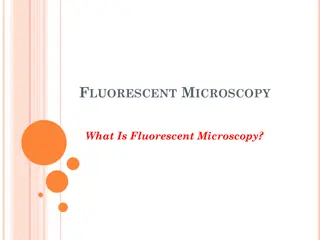 Fluorescent Microscopy: A Detailed Overview