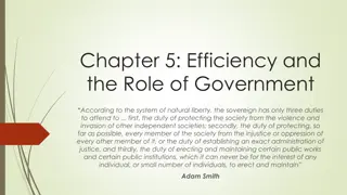 Efficiency and the Role of Government in Economic Systems