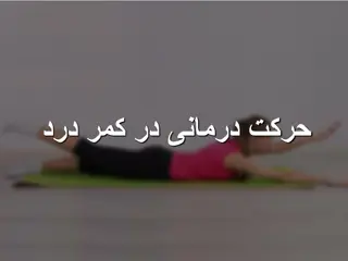 Effective Back Pain Relief Exercises and Approaches