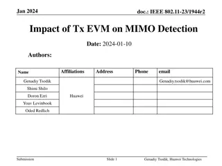 Impact of Tx EVM on MIMO Detection in WLAN Systems