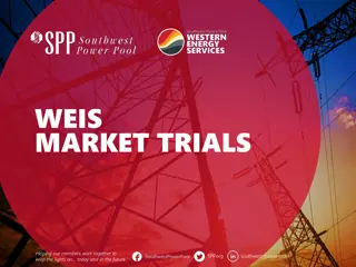 Trials and Tests Overview for Maintaining Power Grid Stability