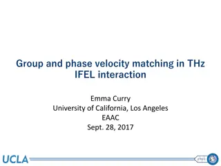 Velocity Matching Techniques in THz IFEL Interaction