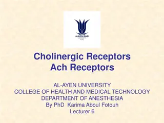 Cholinergic and Nicotinic Receptors in the Human Body