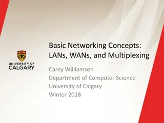 Basic Networking Concepts: LANs, WANs, and Multiplexing