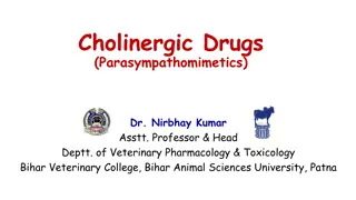 Cholinergic Drugs and Their Classification in Veterinary Pharmacology