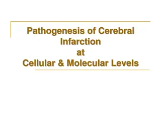 Cell Death Mechanisms in Cerebral Infarction