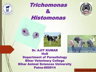 Overview of Tritrichomonas foetus: Morphology, Hosts, and Transmission