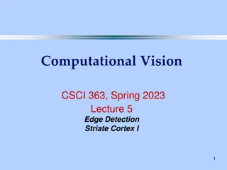 Edge Detection Techniques in Computational Vision