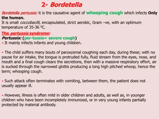 Bordetella Pertussis and Haemophilus: Causes and Symptoms
