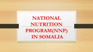 Nutrition Program in Somalia: Addressing Malnutrition Challenges