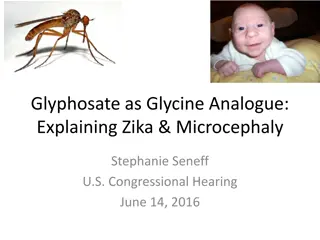 Glyphosate as Glycine Analogue: Understanding the Impact on Protein Synthesis