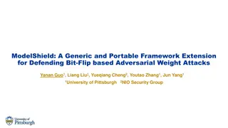Defend Bit-Flip Attacks with ModelShield Framework Extension