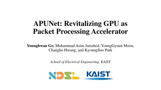 Revitalizing GPU for Packet Processing Acceleration