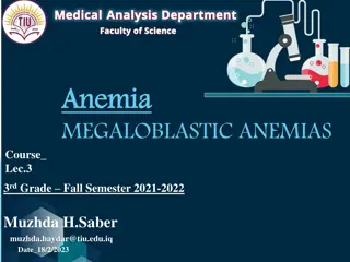 Megaloblastic Anemias and Their Causes