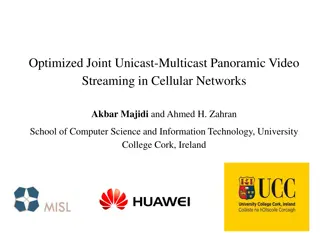 Optimized Panoramic Video Streaming in Cellular Networks