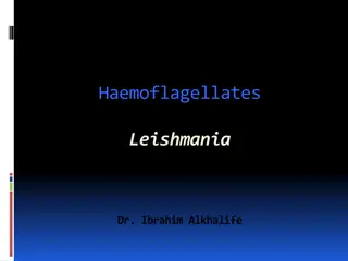 Haemoflagellates: Leishmania Parasites and Diseases