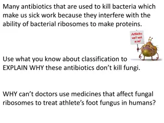 Antibiotics, Ribosomes, and Fungal Resistance