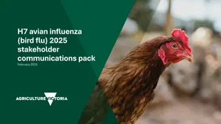 Dealing with H7 Avian Influenza Outbreak: Stakeholder Information Pack