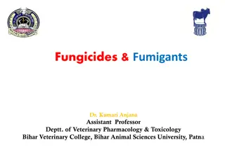 Fungicides and Fumigants in Veterinary Practice