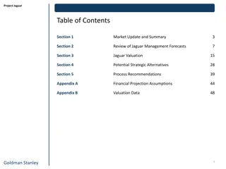 Project Jaguar Market Update and Strategic Recommendations