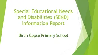 Supporting Special Educational Needs at Birch Copse Primary School