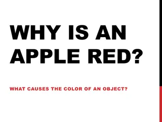 The Science of Object Color and Vision