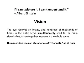 Vision in Television and Human Perception
