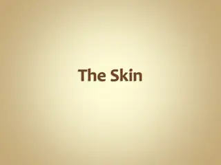 Skin Color Factors and Abnormal Tones