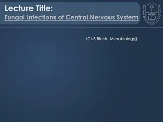 Fungal Infections of the Central Nervous System