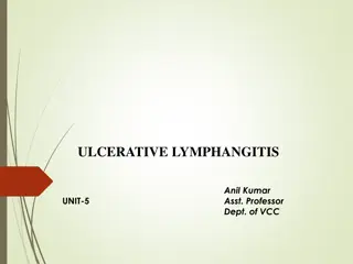 Ulcerative Lymphangitis in Horses: Causes, Symptoms, and Treatment