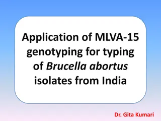 MLVA-15 Genotyping for Brucella abortus Isolates in India