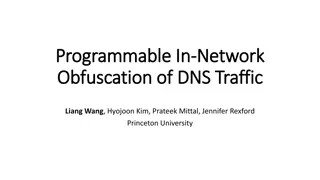 Enhancing DNS Privacy and Security Through Network-Level Solutions
