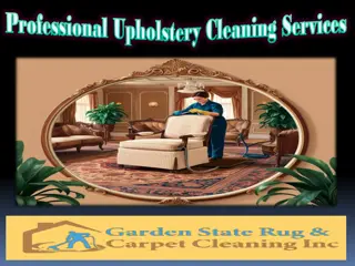 Professional Upholstery Cleaning Services