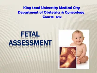 Fetal Assessment: Importance, Techniques, and Monitoring in Pregnancy
